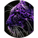 Violet Grimm Violet Grimm