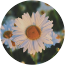 Daisy Sandoval Daisy Sandoval